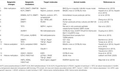 Epigenetic Alterations in Podocytes in Diabetic Nephropathy